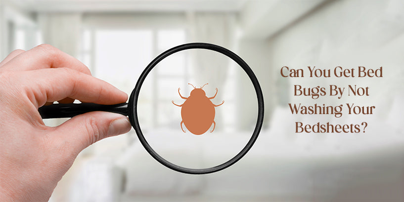 Can You Get Bed Bugs By Not Washing Your Bed Sheets