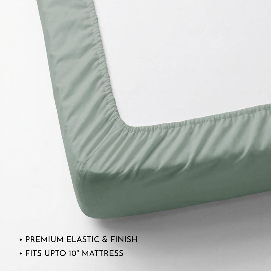 Fitted Bedsheet Set | 200TC Percale | 100% Cotton Bedsheet + 2 Pillow Cases [Sizes: King Bedsheets & Queen/ Double Bedsheets] - Solid-Laurel-Green