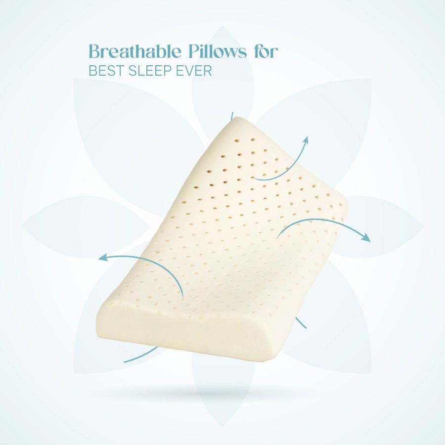 Natural Latex Pillow - White - 200TC