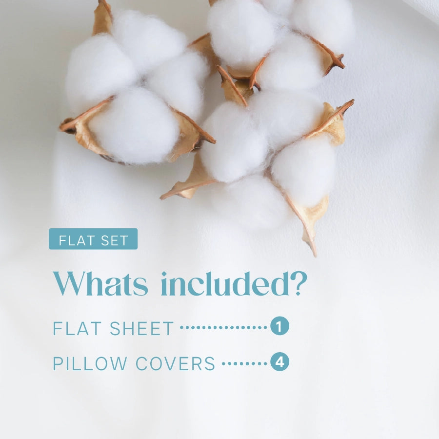 Bedsheet Set - 500TC Swiss Dot - Pale Turquoise - King