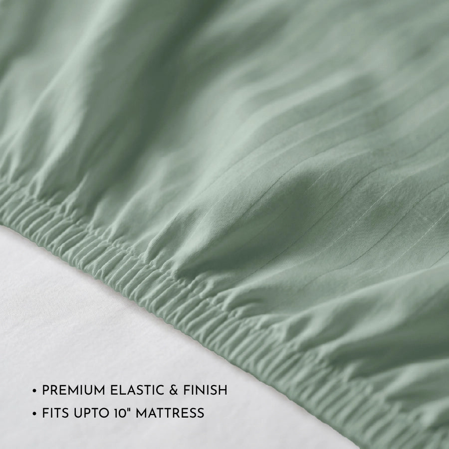 300TC Stripes Fitted Bedsheet Sage Green